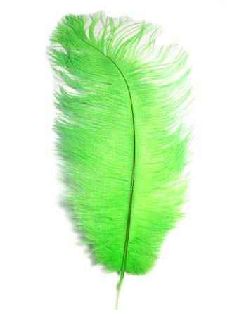 Ostrich Feather Plume - GREEN